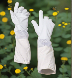 
                  
                    Load image into Gallery viewer, Forest Beekeeping Supply goatskin leather ventilated beekeeper glove. The glove features durable goatskin leather for protection and a ventilated design to keep hands cool and comfortable during hive inspections.
                  
                